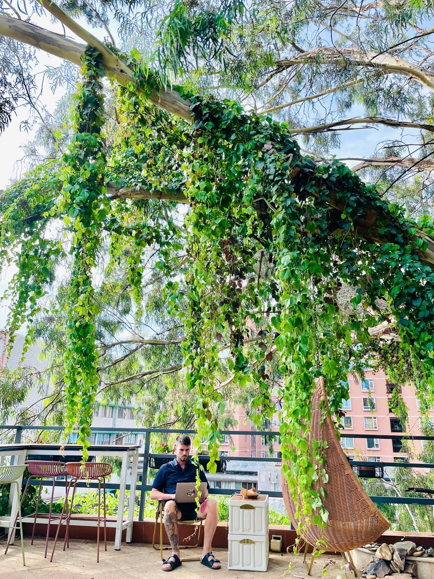 Kunming Upland International Youth Hostel Near The City Center ,2 Mins Walk To The Subway, 2 Mins Walk To The Green Lake, Close To Yuan Tong Temple, Old Street, Yunnan University, Convenient Payment And Visa Cards Are Accepted Exteriör bild